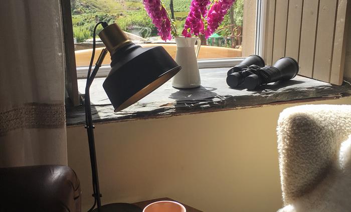front lounge window vinette